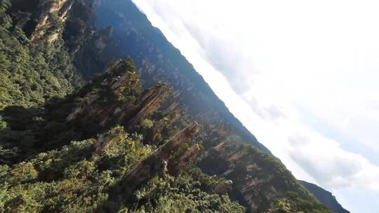 有幸拍到了雨后透明的美景，治愈系风景