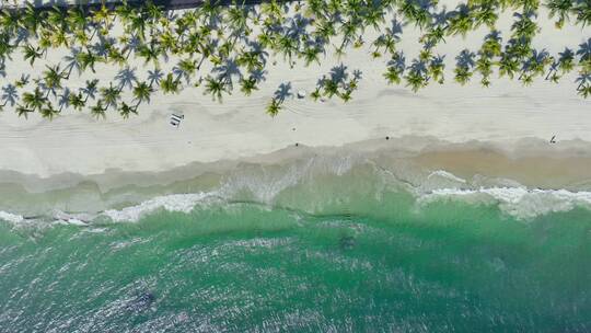 椰林阳光沙滩航拍