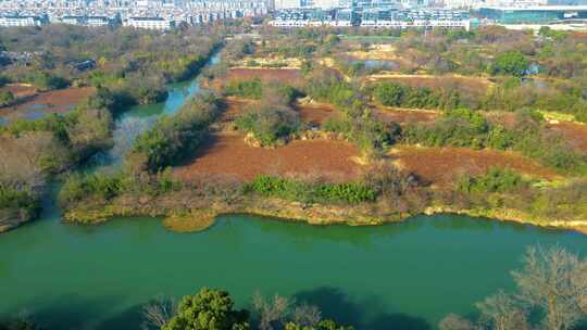 杭州西湖区西溪湿地景区景观风景视频素材