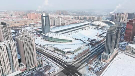 【合集】哈尔滨国际会议展览体育中心