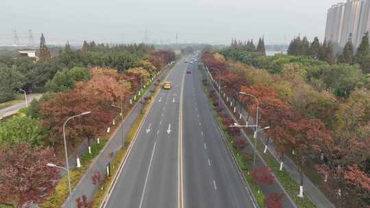 4K航拍昆山道路秋色