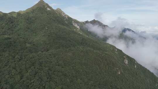 森林湖泊云海山川山脉云雾缭绕 青山绿水