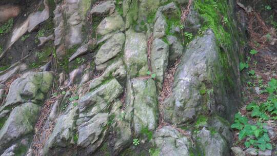 石头假山青苔中式园林造景遗址公园