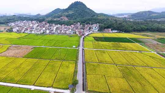 航拍韶关乐昌长来美丽乡村风景