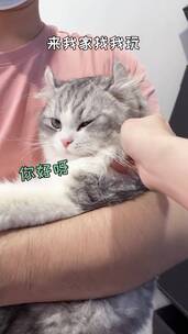 宠物，猫狗双全，萌宠出道，动物成精