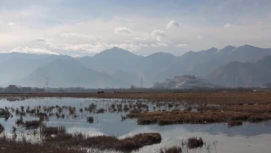 拉鲁湿地4K实拍