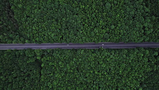 森林道路的空中景观