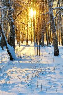 松涛悠歌 悠然 民谣 花园 宣传片 纪