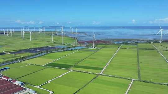 绿色能源风力发电