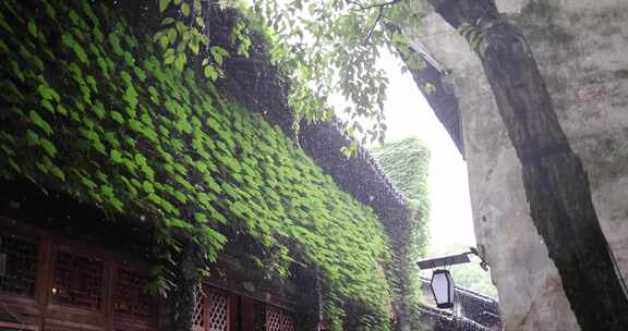 （慢镜）江南古镇大雨屋檐下的爬山虎