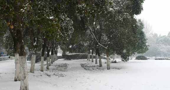 大雪飘落的慢镜头