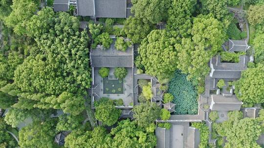 航拍城市生态环境上海醉白池风景区