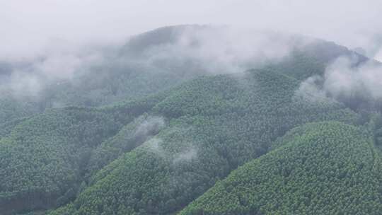 云雾原始森林大自然航拍视频素材模板下载