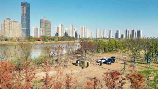 航拍河道公园红杉树夕阳芦苇荡视频素材模板下载