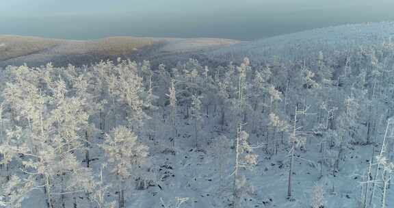 航拍内蒙古大兴安岭冰雪雾凇、雪凇