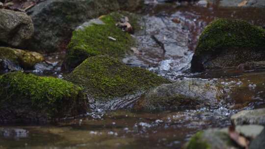 河流溪流溪水泉水河流水流河水水源山水河水