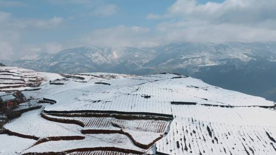 冬季雪景自然风光视频积雪覆盖耕地田野