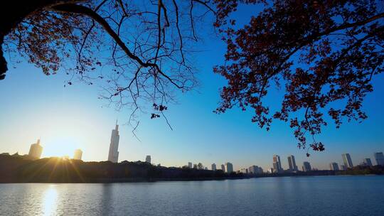 夕阳照耀下的高楼大厦