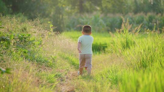 农村儿童在田埂上奔跑