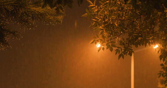 夜晚下雨雨景