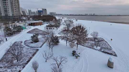 城市雪地景观，树木高楼皆覆满白雪