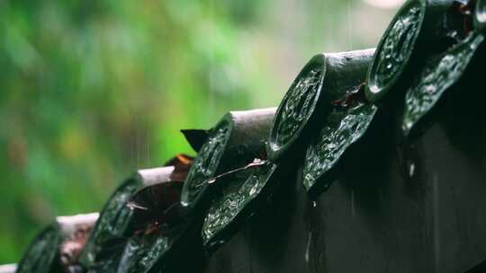 竹林古建筑屋檐下雨