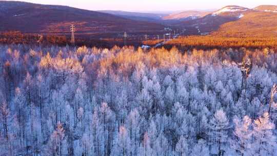 大兴安岭冰雪森林