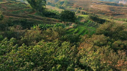 植被茂盛的山间田园风景ATV摩托航拍