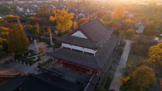 浙江嘉兴梅花洲石佛寺千年银杏航拍