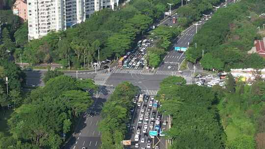 深圳深南大道南山段-城市交通