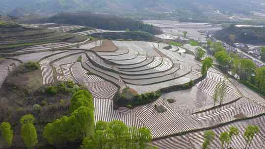 宝鸡梯田  汉封梯田