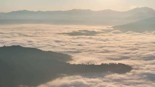 景迈山茶山云海日出