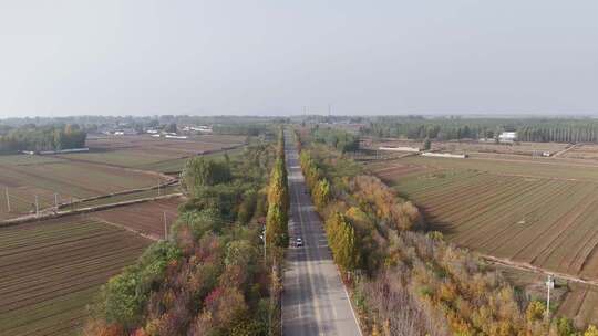 乡村公路航拍田野风光