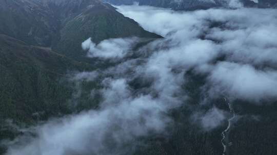 四川甘孜清晨被雾笼罩的稻城亚丁高山风景