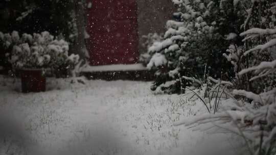 雪落在地上