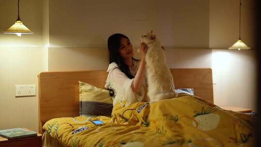 宠物可爱猫咪陪伴