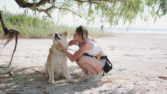 海滩上拥抱秋田犬的快乐年轻女子