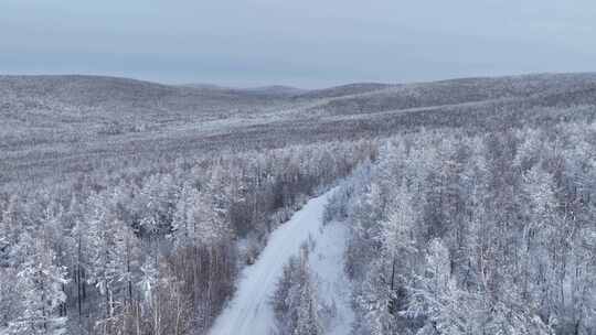 航拍穿越林海雪原的山路