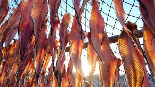 晒鱼干 晒鱼