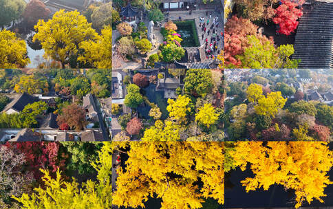 苏州留园秋天航拍运镜16镜组合高清在线视频素材下载