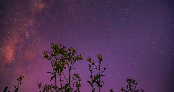 4k 延时唯美夜景星空银河