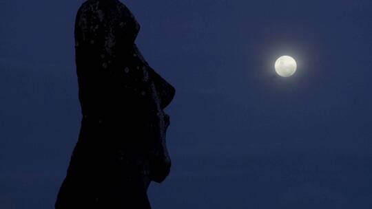 月光下雕像的剪影
