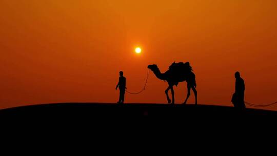 落日、光影、黄昏、大漠、沙漠、骆驼、剪影