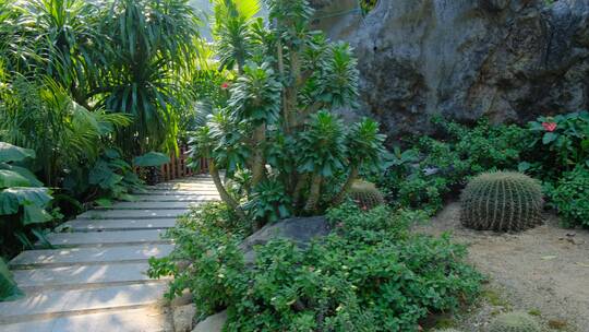 沙漠植物沙生植物园