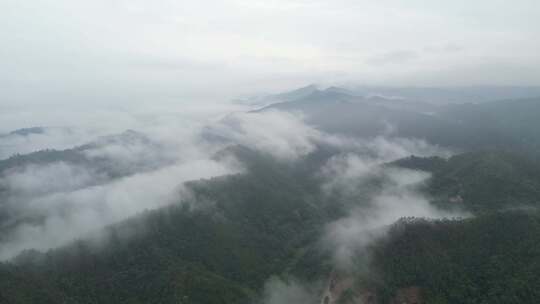 广东梅州大埔县G235国道三河坝段风景