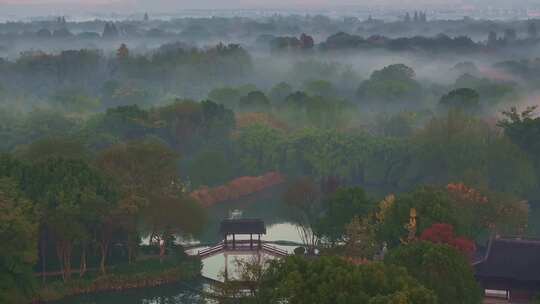 航拍西溪湿地晨雾丁达尔光美景航拍视频素材模板下载