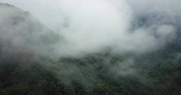 云气山林、烟雾缭绕、苍翠氤氲天台山 (7)