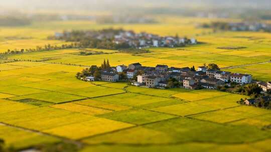 航拍乡村田野与民居景观