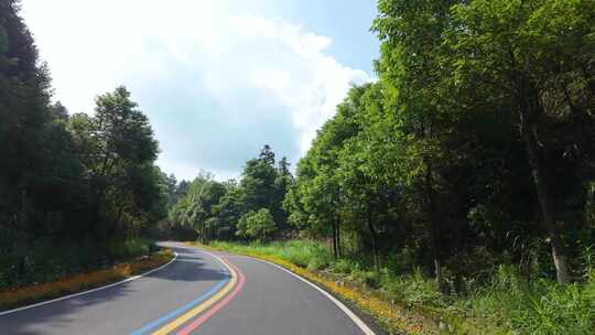 仙女湖环湖公路林间小路森林跑道林荫大道