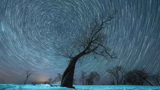 4K吉林四方顶树下夜晚星轨星空银河延时